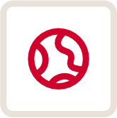 language